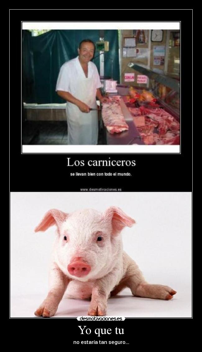 carteles cerdito desmotivaciones