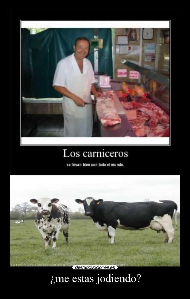 ¿me estas jodiendo? -