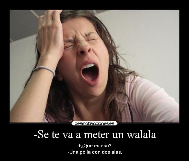 -Se te va a meter un walala - 