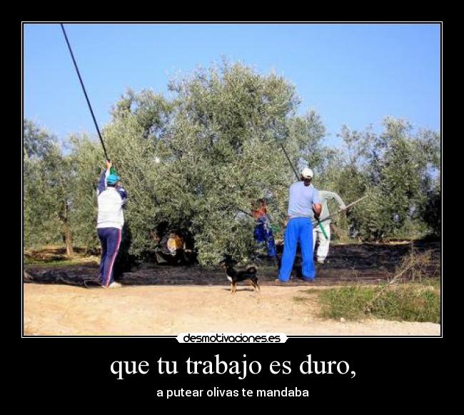 que tu trabajo es duro, - a putear olivas te mandaba