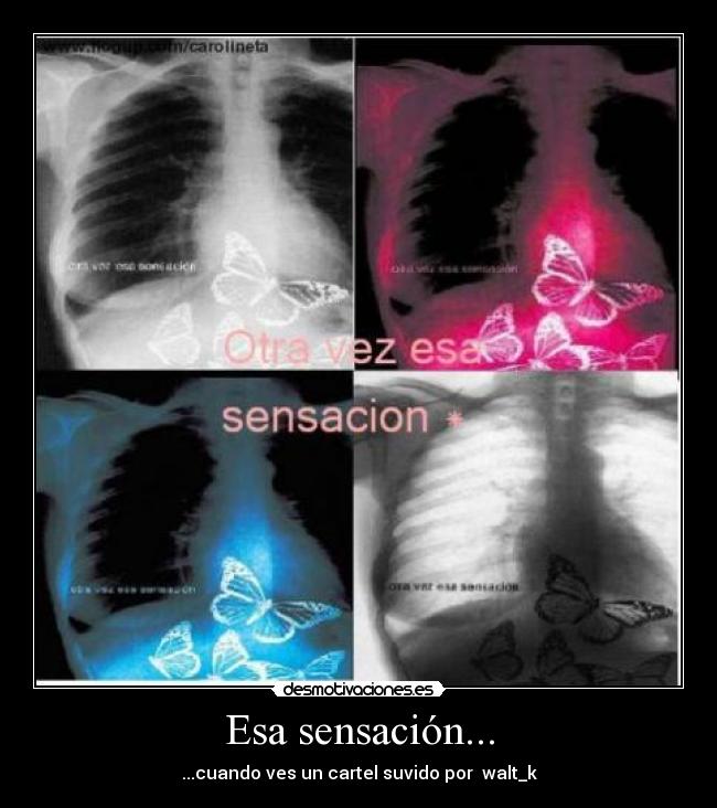 Esa sensación... - ...cuando ves un cartel suvido por walt_k