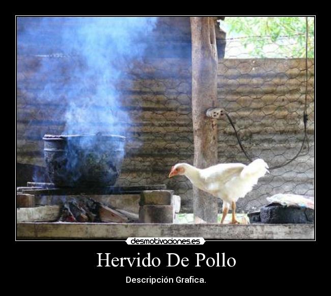 Hervido De Pollo - 