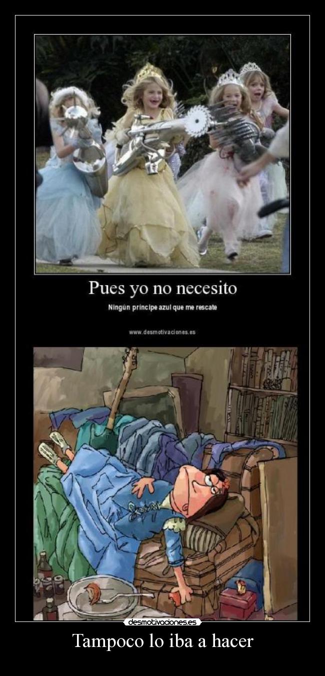 Tampoco lo iba a hacer -