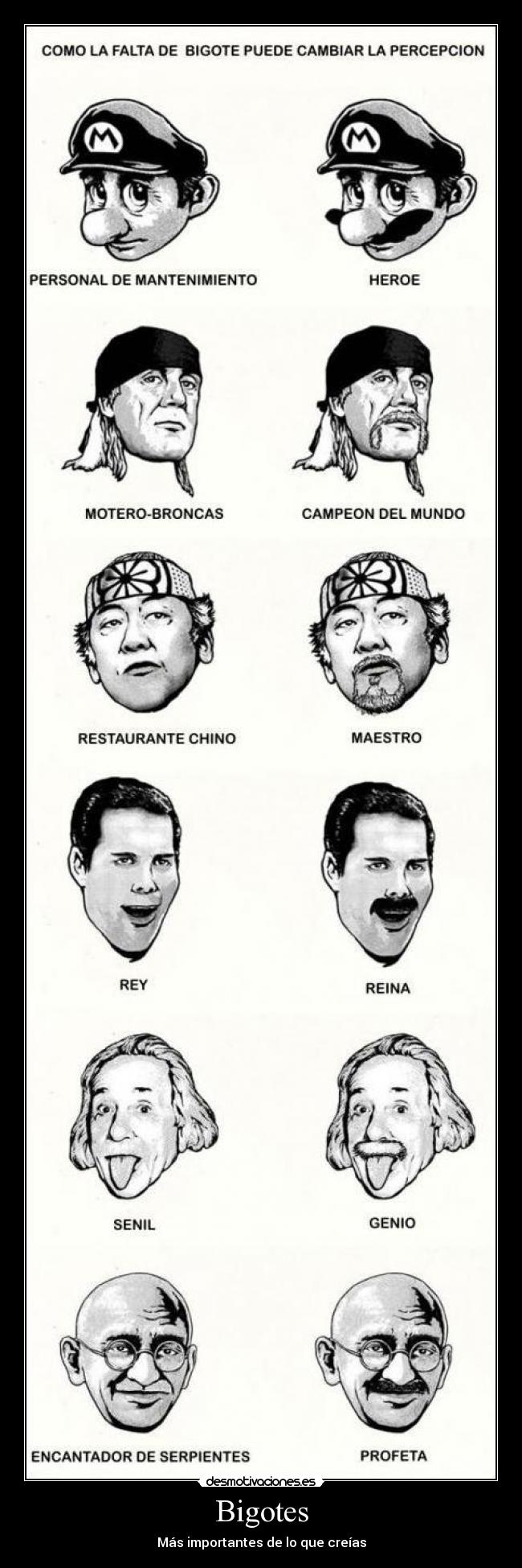 Bigotes -