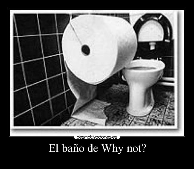 El baño de Why not? - 