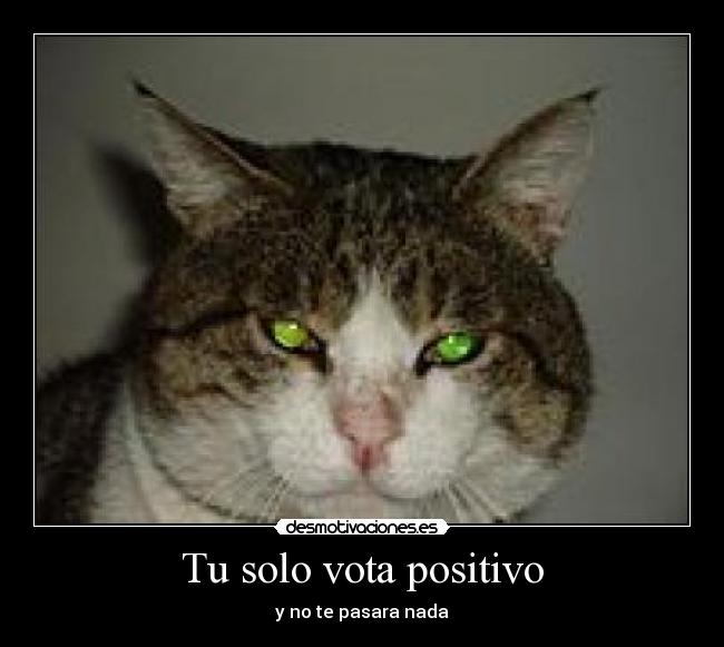 Tu solo vota positivo -