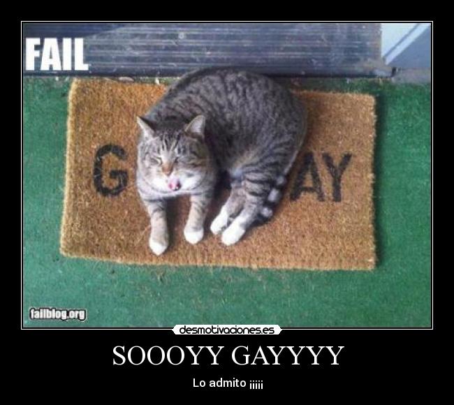 SOOOYY GAYYYY - Lo admito ¡¡¡¡¡