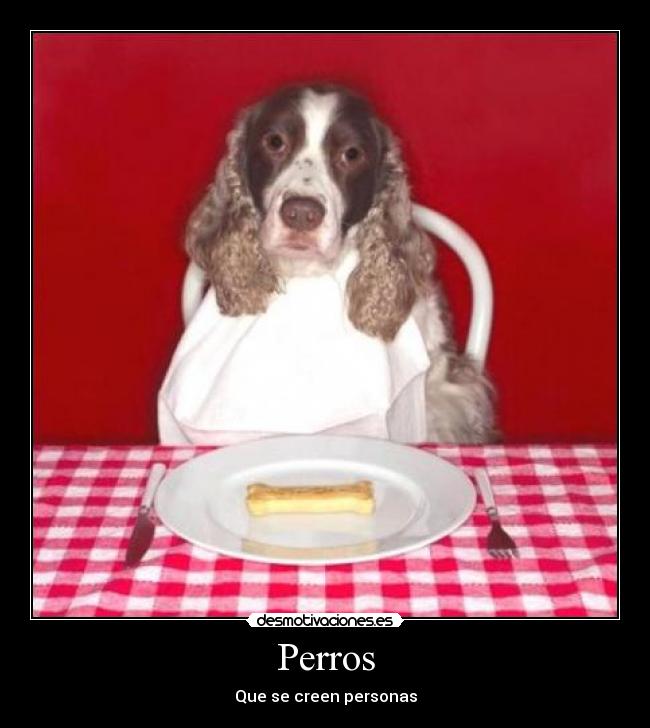 Perros -