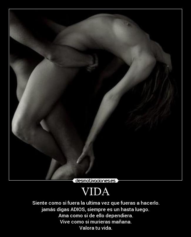 carteles vida vida desmotivaciones