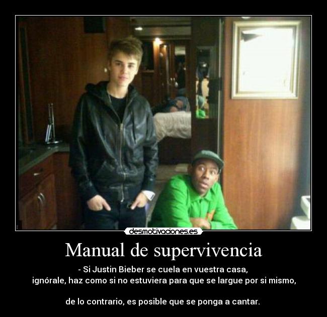 carteles supervivencia desmotivaciones