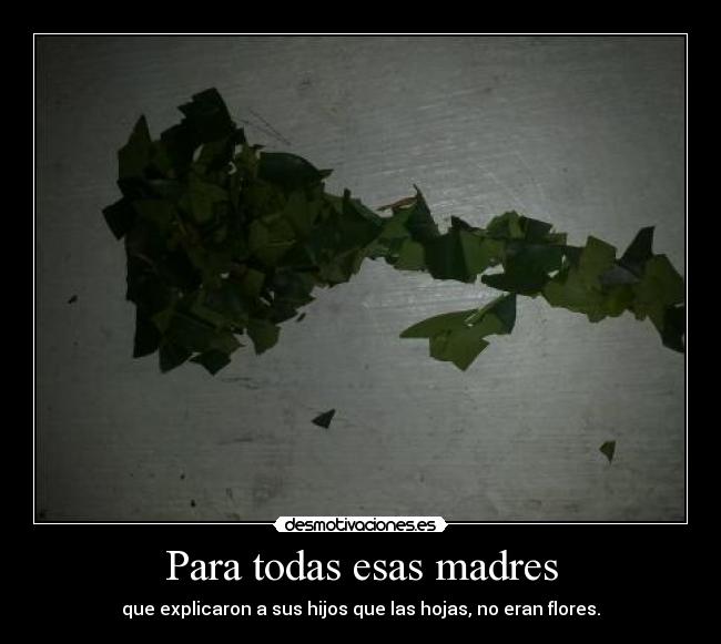 Para todas esas madres - 