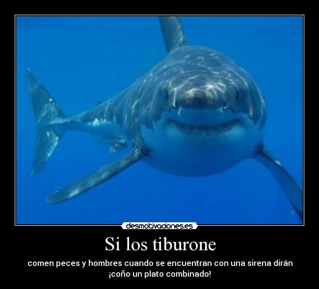 Si los tiburone - comen peces y hombres cuando se encuentran con una sirena dirán
¡coño un plato combinado!