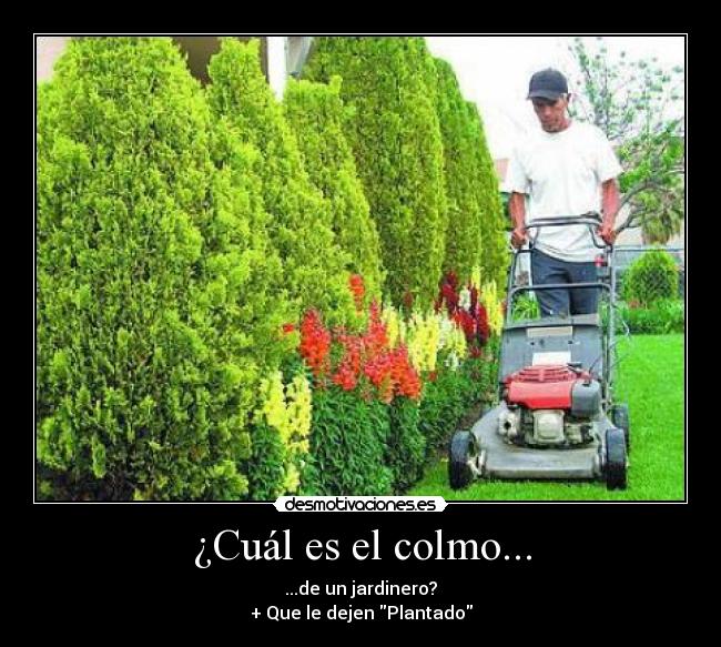 ¿Cuál es el colmo... - ...de un jardinero?
+ Que le dejen Plantado