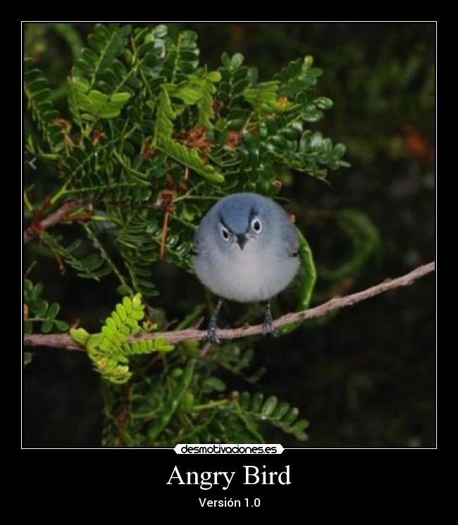 Angry Bird -