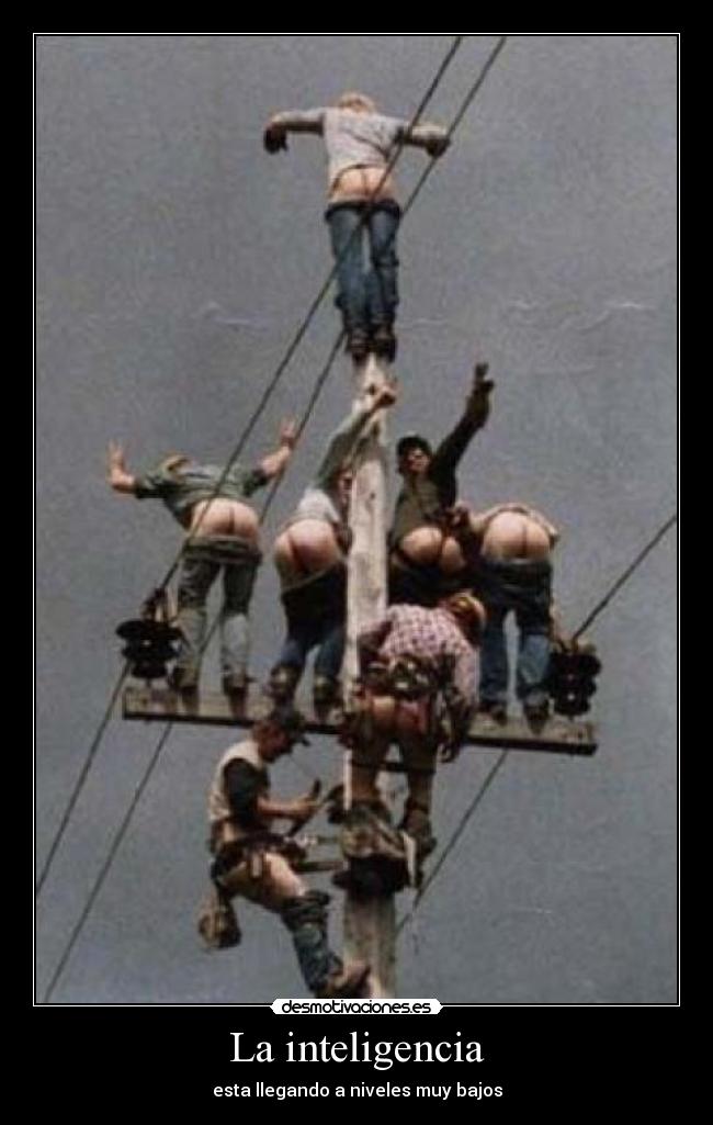 La inteligencia - esta llegando a niveles muy bajos