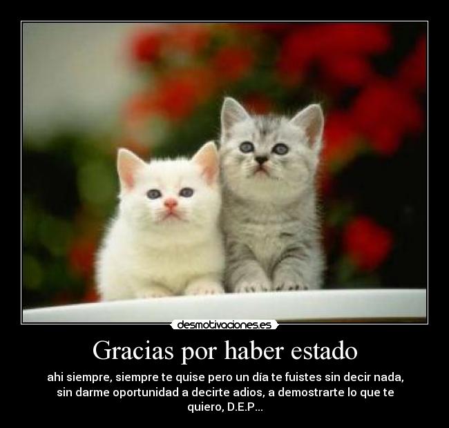 Gracias por haber estado - ahi siempre, siempre te quise pero un día te fuistes sin decir nada,
sin darme oportunidad a decirte adios, a demostrarte lo que te
quiero, D.E.P...