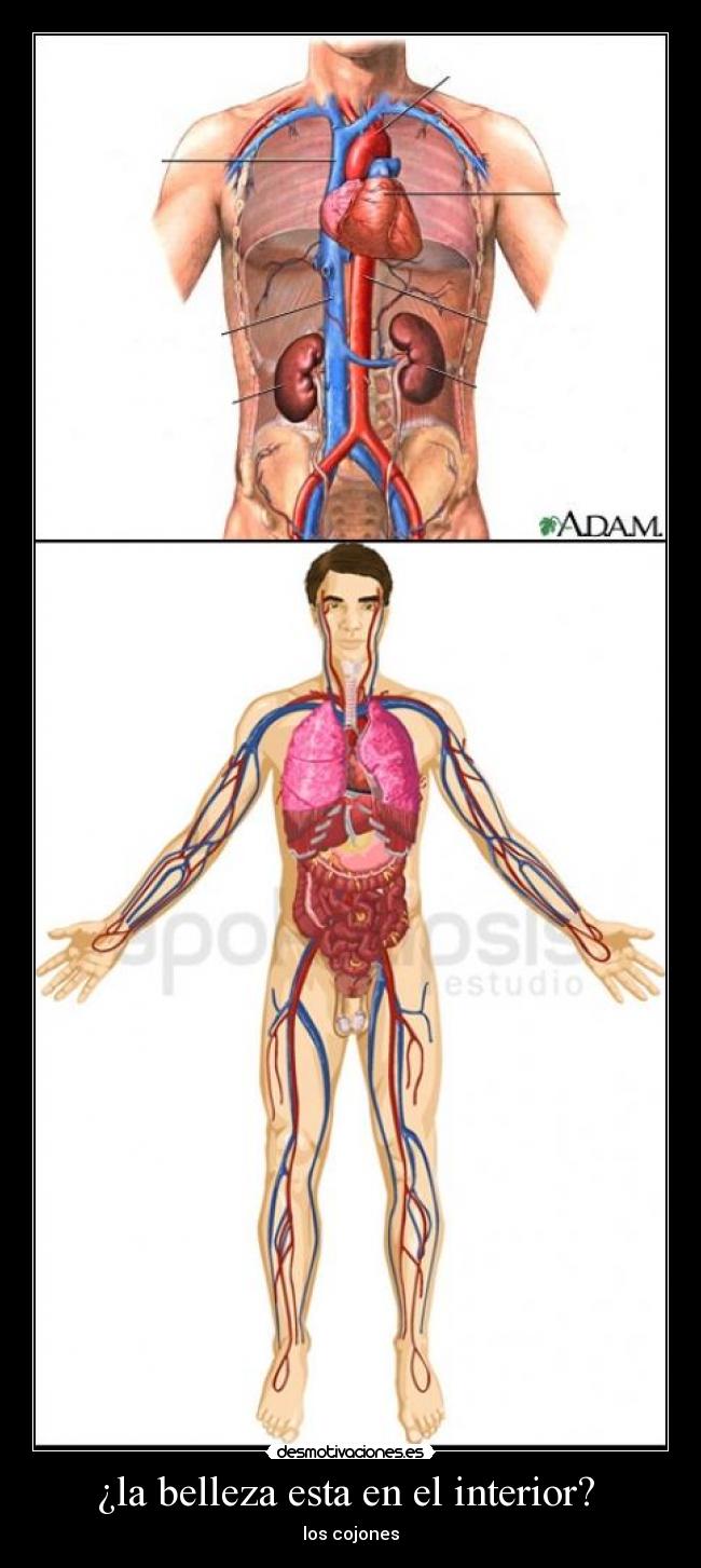 ¿la belleza esta en el interior? -
