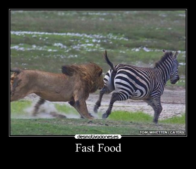 carteles fast food desmotivaciones