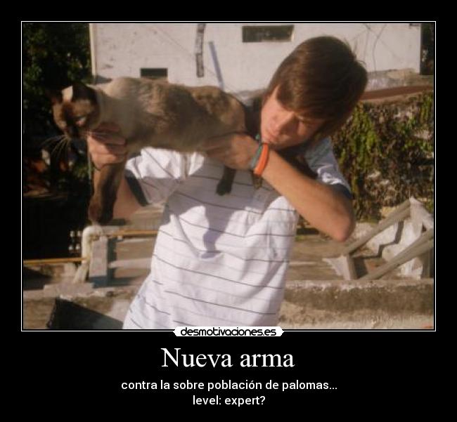 Nueva arma - contra la sobre población de palomas...
level: expert?