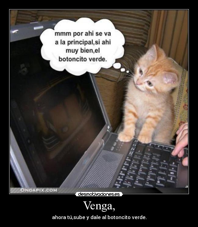 Venga, - ahora tú,sube y dale al botoncito verde.