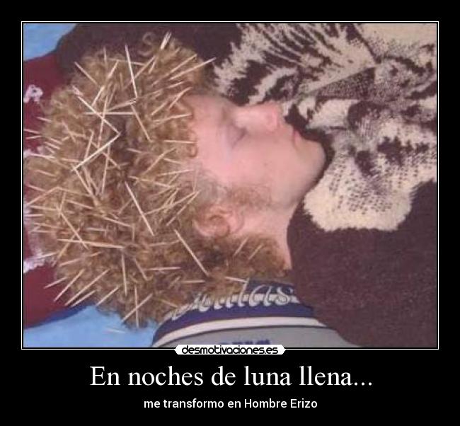 En noches de luna llena... - me transformo en Hombre Erizo