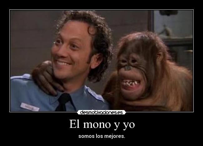 El mono y yo - somos los mejores.