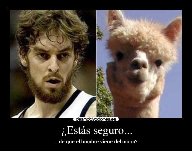 ¿Estás seguro... - ...de que el hombre viene del mono?