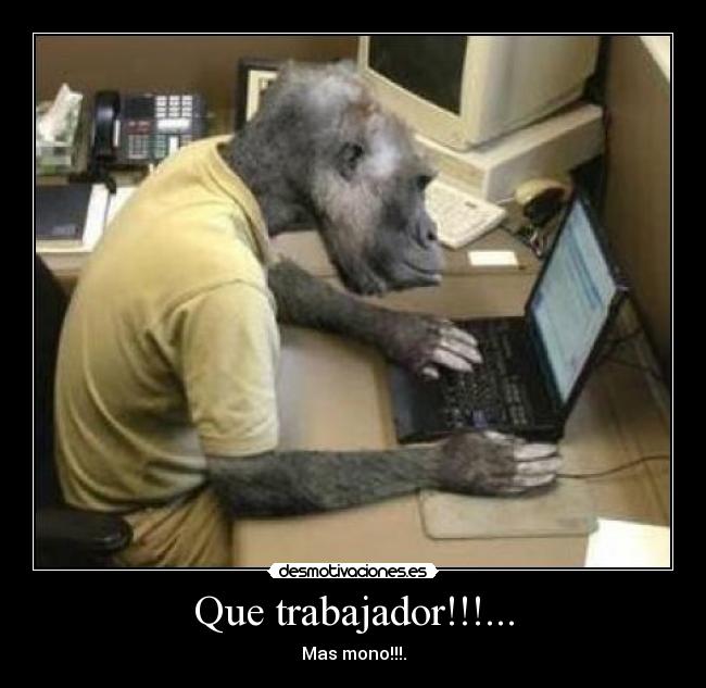 Que trabajador!!!... - 