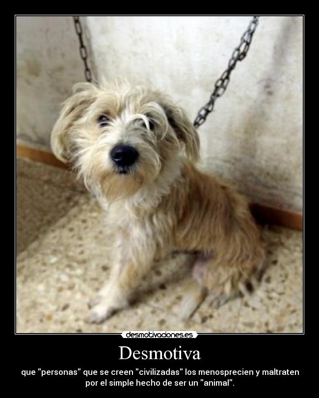 Desmotiva - que personas que se creen civilizadas los menosprecien y maltraten
por el simple hecho de ser un animal.