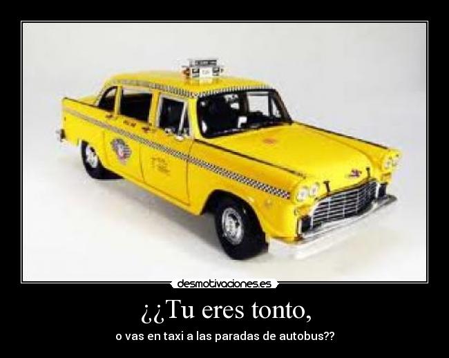 ¿¿Tu eres tonto, -