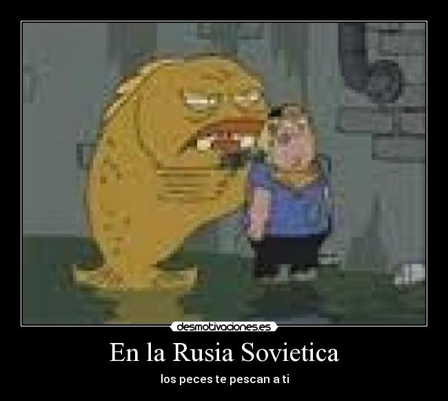 carteles garridodesmotivante deivod samu_samu chema gea snake producciones serfot mevoiacagaryvuelvo desmotivaciones