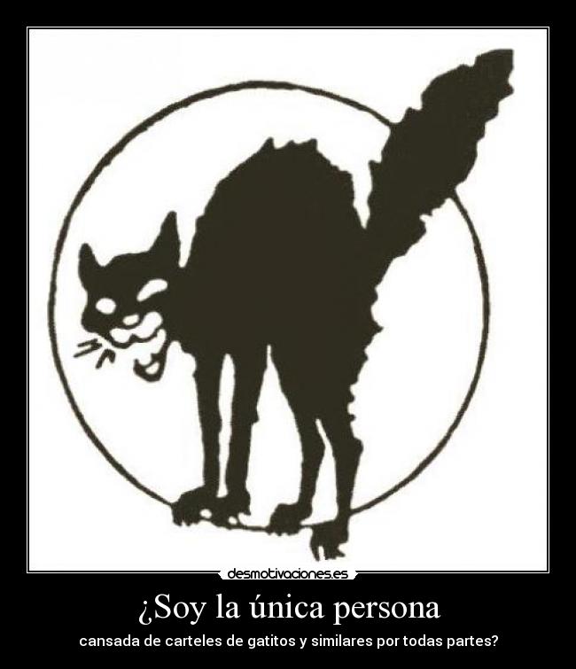 carteles gatitos desmotivaciones