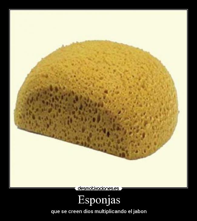 Esponjas - 