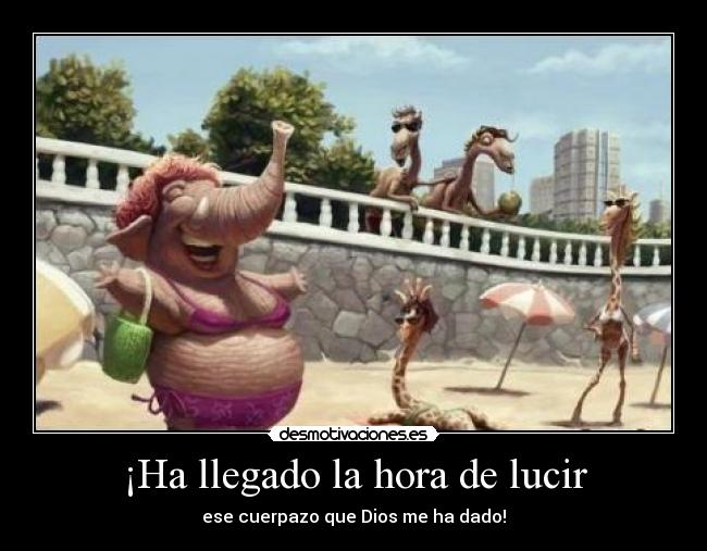 ¡Ha llegado la hora de lucir - 