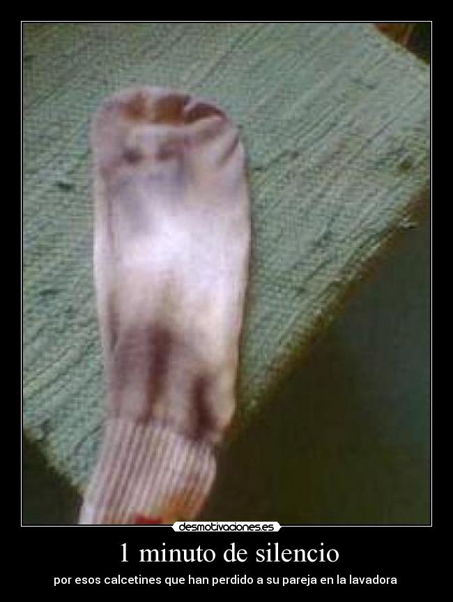 1 minuto de silencio - por esos calcetines que han perdido a su pareja en la lavadora 
