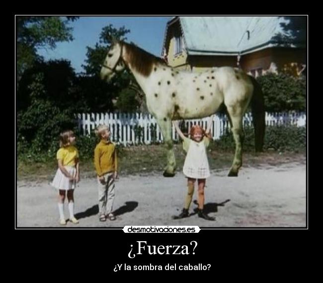 ¿Fuerza? -