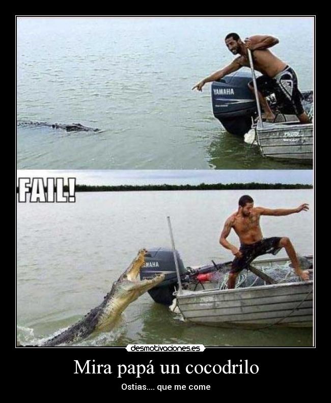 Mira papá un cocodrilo - 
