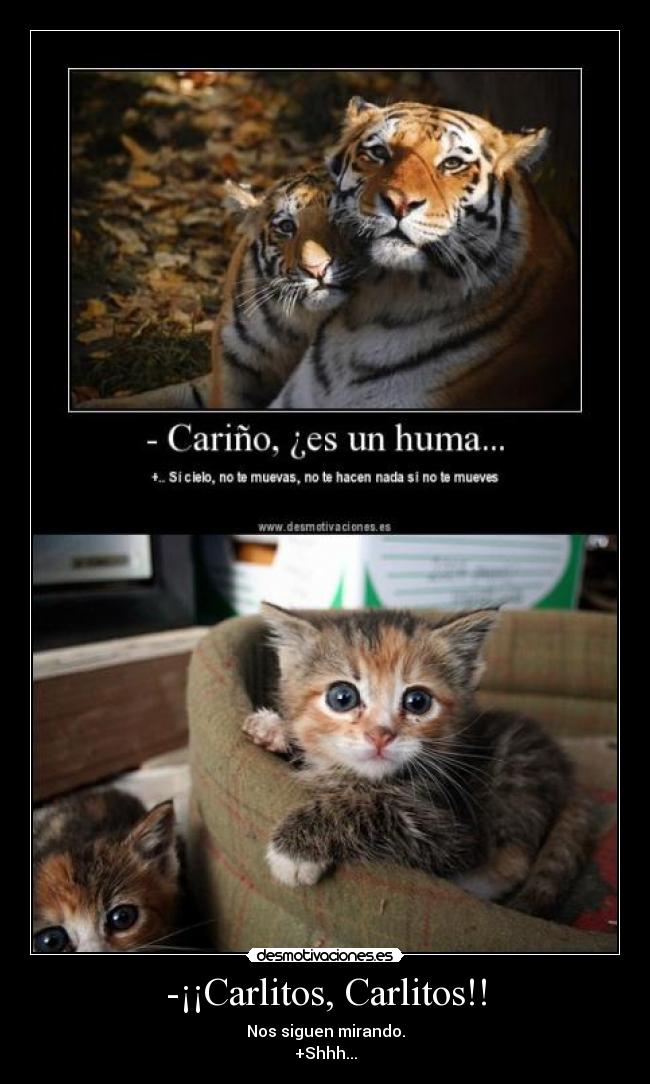 -¡¡Carlitos, Carlitos!! -