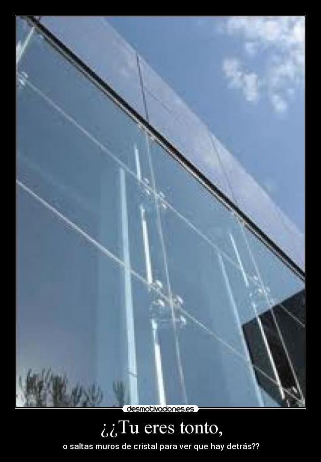 ¿¿Tu eres tonto, - o saltas muros de cristal para ver que hay detrás??