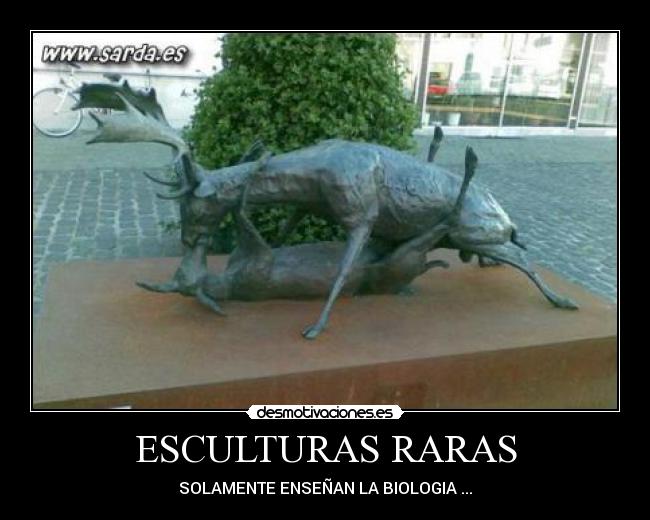 ESCULTURAS RARAS - 