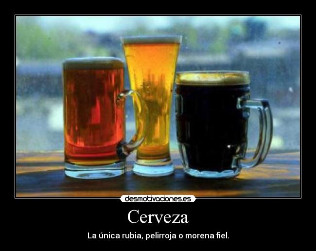 Cerveza - 