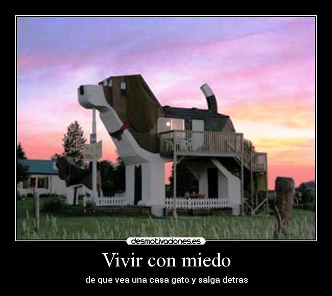 Vivir con miedo -