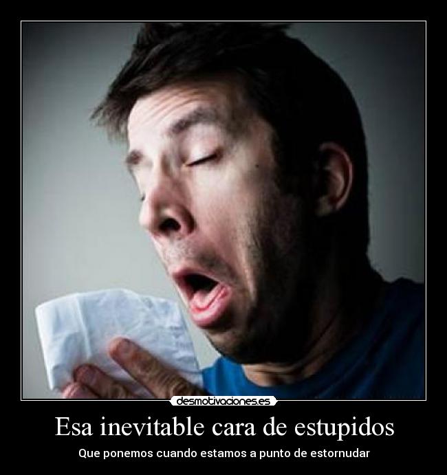 Esa inevitable cara de estupidos -