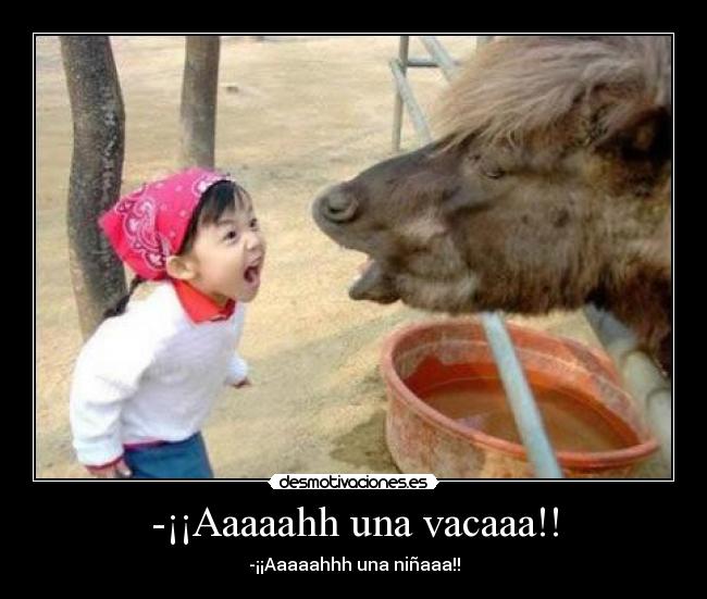 -¡¡Aaaaahh una vacaaa!! - -¡¡Aaaaahhh una niñaaa!!