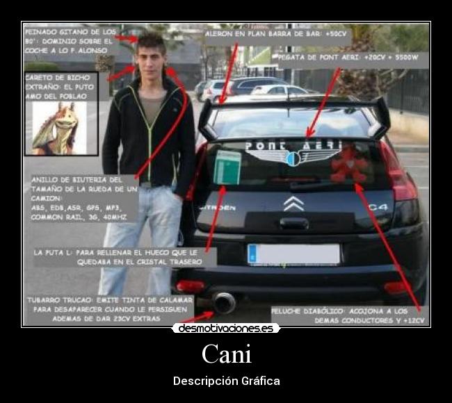 carteles cani descripcion grafica coche pegatinas desmotivaciones
