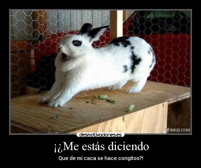 ¡¿Me estás diciendo -