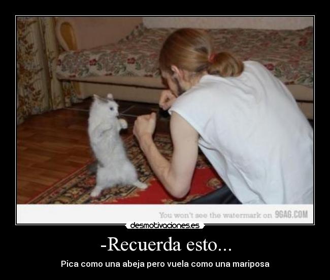 -Recuerda esto... - 