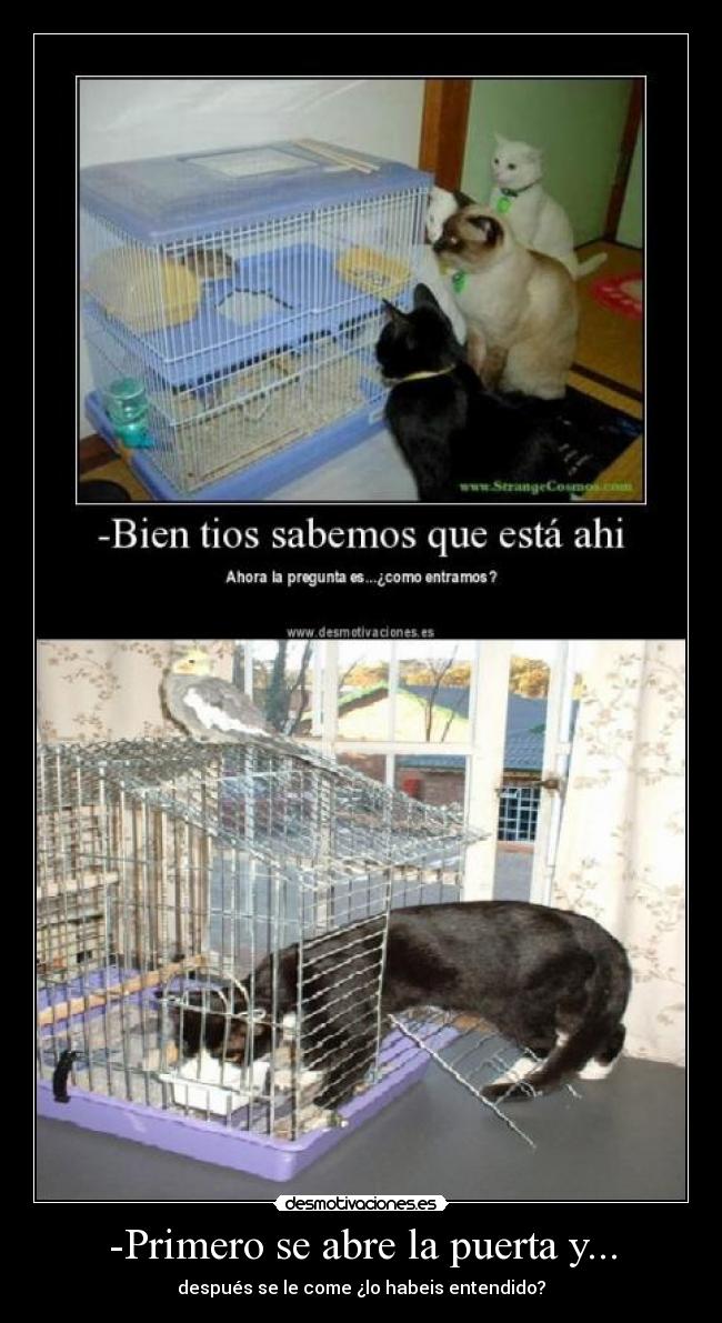 -Primero se abre la puerta y... - después se le come ¿lo habeis entendido?