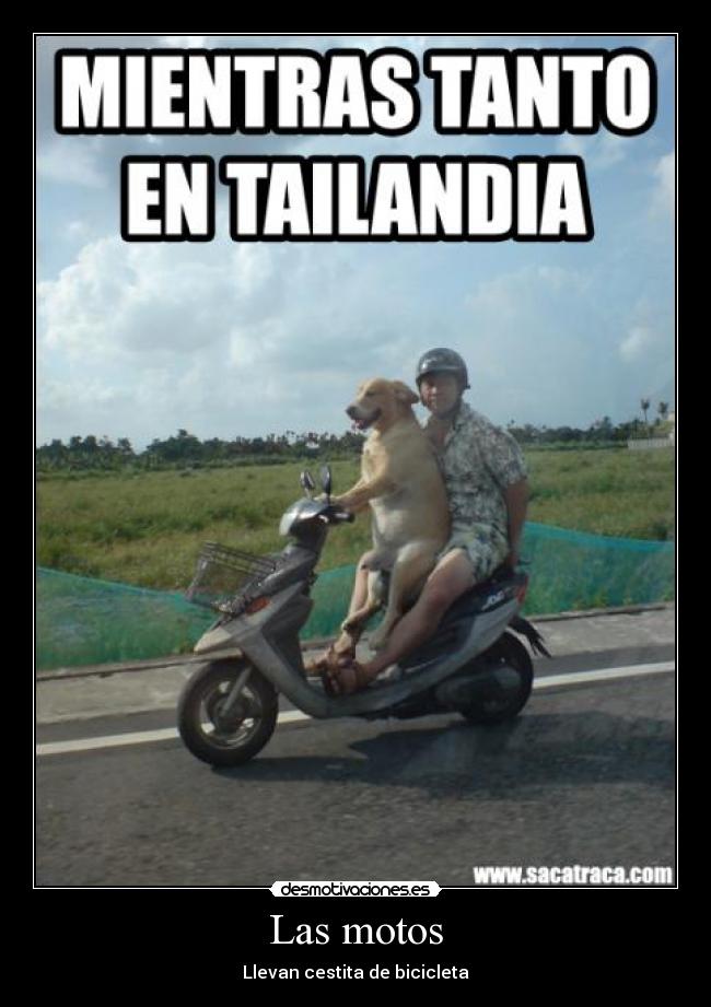 carteles las motos llevan cestita bicicleta tailandia mientras tanto desmotivaciones