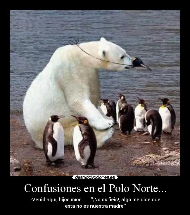 Confusiones en el Polo Norte... -
